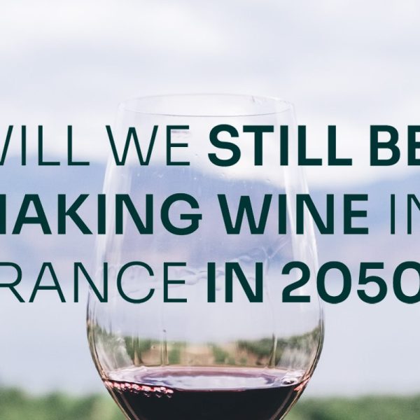Illustration Will we still be making wine in 2050?